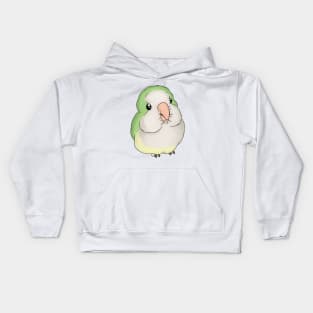 Fluffy Quaker Kids Hoodie